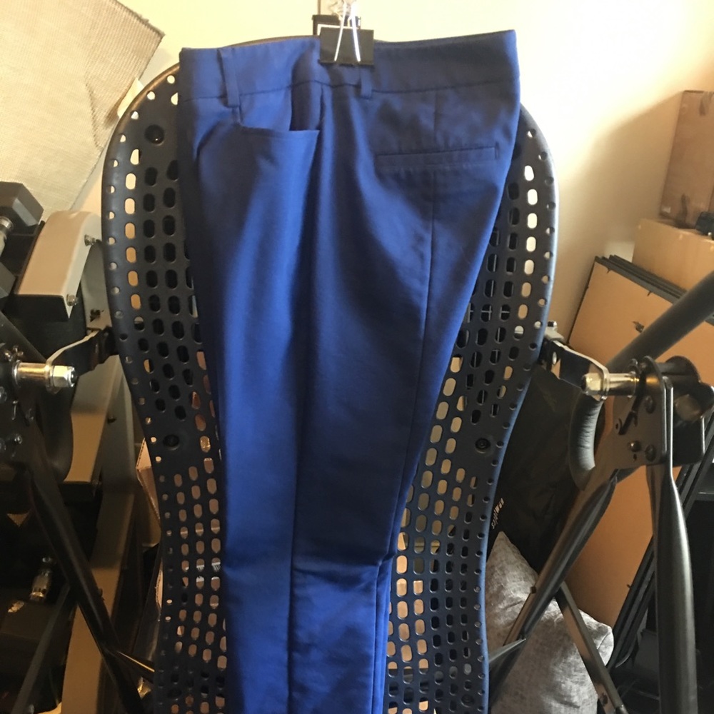 Express Dress Pants-New - Barely Boot Cut